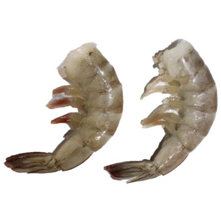 goodsense.mx-camaron-41-mariscos-goodsense