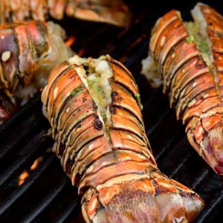 goodsense.mx-cola-langosta-brasas-receta-mariscos-goodsense