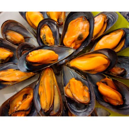 goodsense.mx-concha-mejillon-negro-receta–mariscos-goodsense