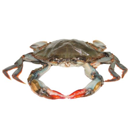 goodsense.mx-jaiba-suave-softshell-mariscos-goodsense