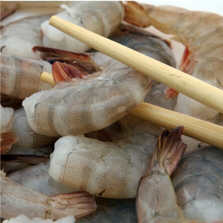 goodsense.mx-camaron 21-mariscos-goodsense