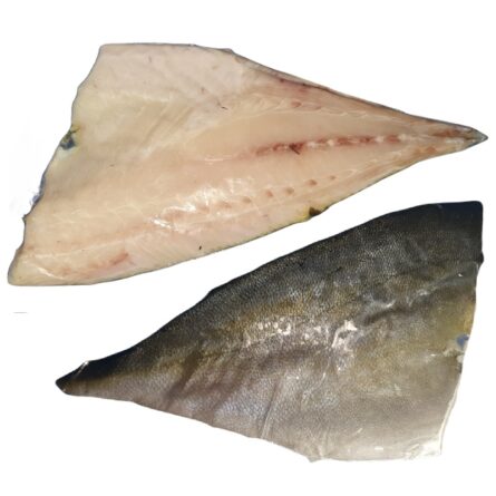 goodsense.mx-kampachi-mariscos-goodsense-congelado