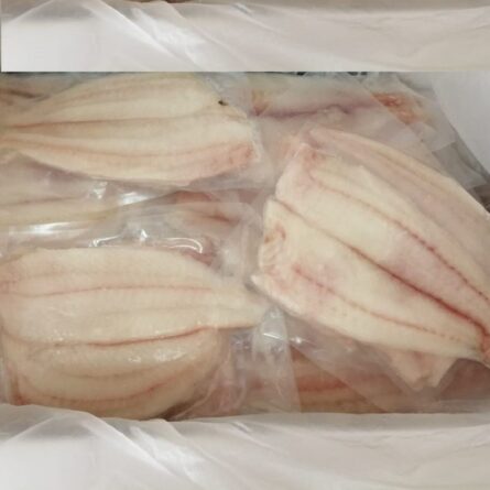 goodsense.mx-lenguado-filete-caja-mariscos-goodsense