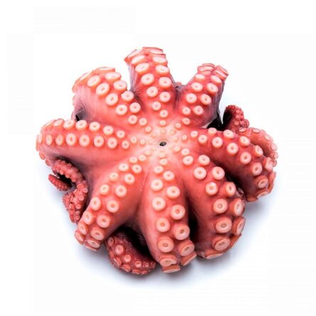 Pulpo Entero 1-2