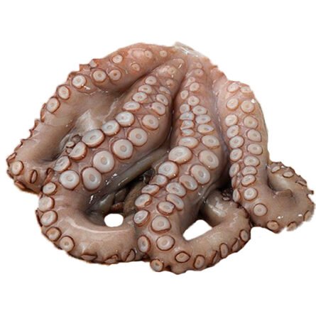 Pulpo Entero 2-4